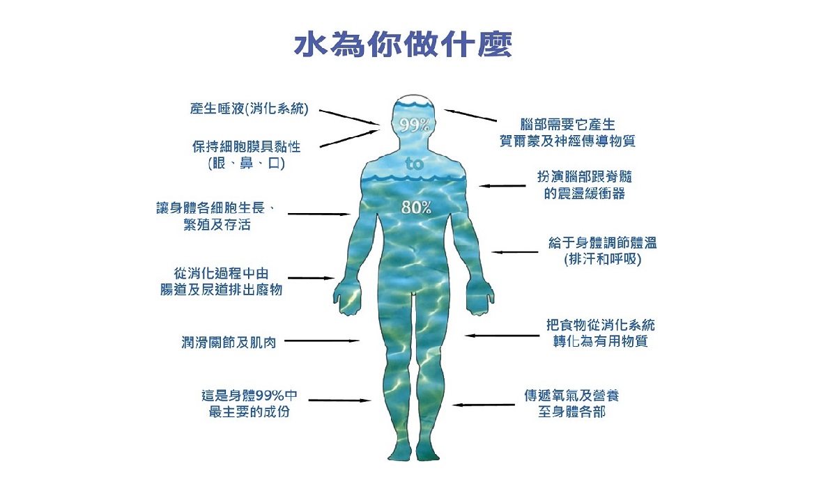 water in body